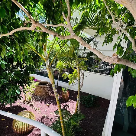 Jameo De Agua, Americas Sea View דירה