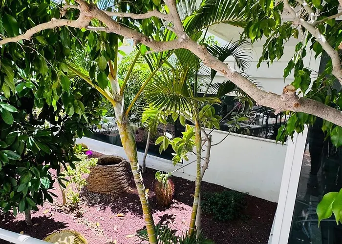 Jameo De Agua, Americas Sea View Appartamento